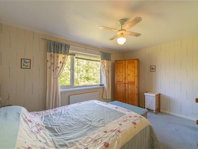 Picture 17